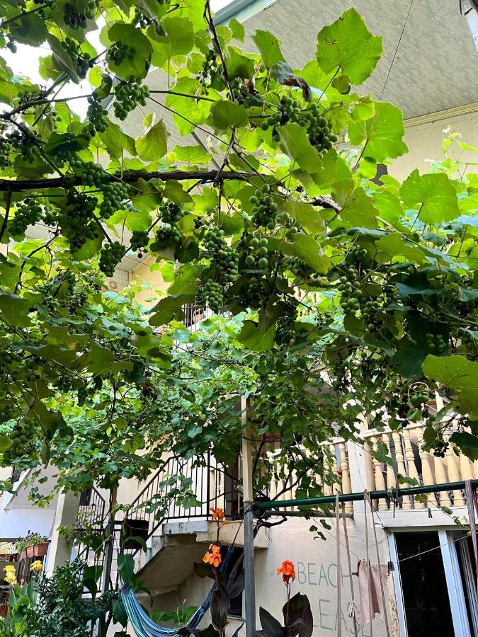 Guest House Mari อูเรคี ภายนอก รูปภาพ